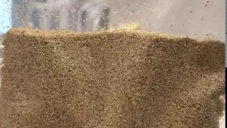 Choline Chloride CAS 67